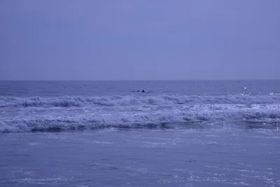 DSC_2213 (Large).JPG